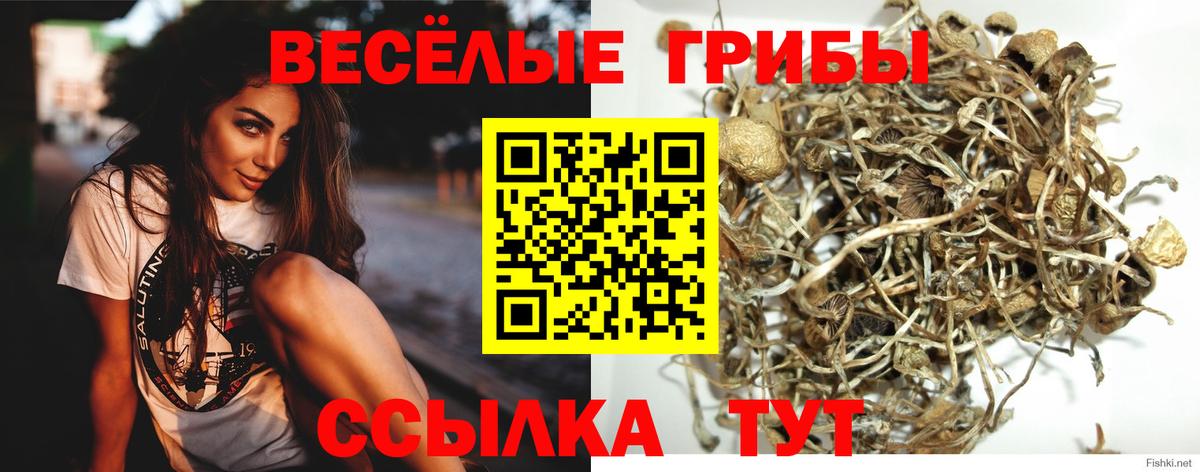 Междуреченск  Галлюциногенные грибы MAGIC MUSHROOMS  Вход с VPN 